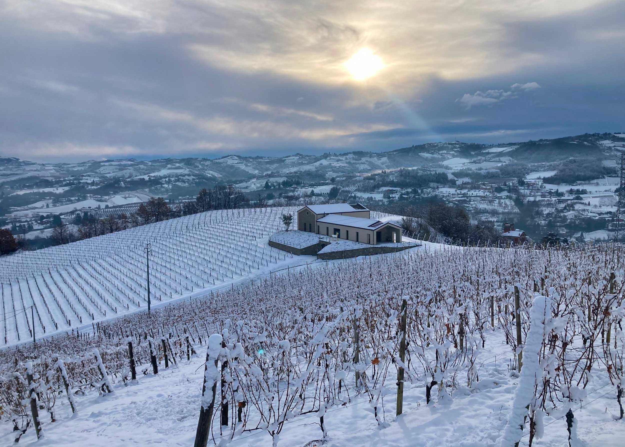 Casale in Langa produces Nives, the wine that comes from ice